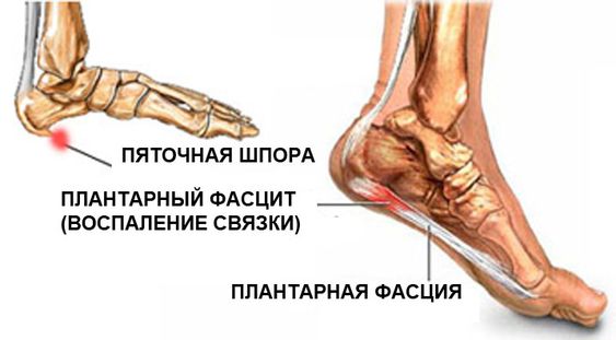 влияние стресса на здоровье