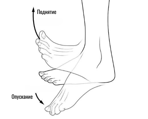 Упражнения для профилактики плоскостопия