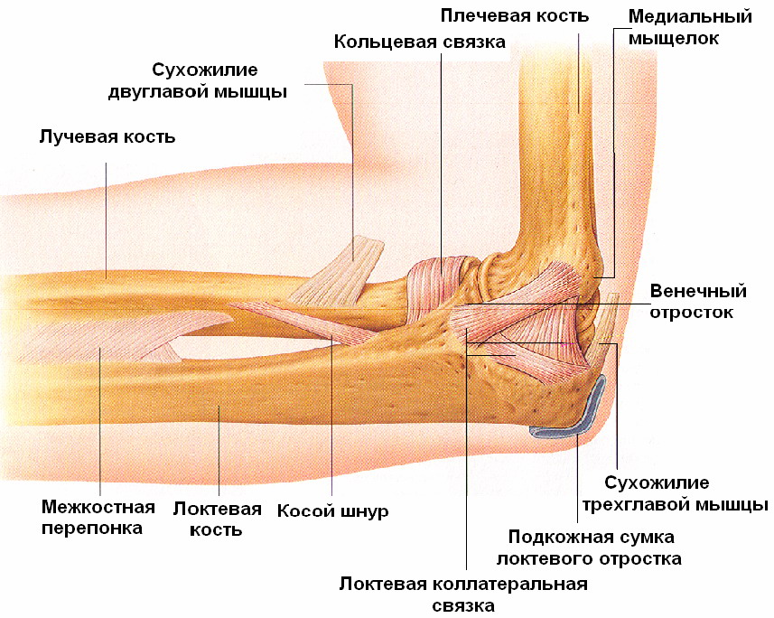 Локтевой бурсит