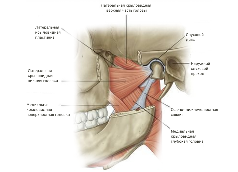  ​Бурсит челюстного сустава